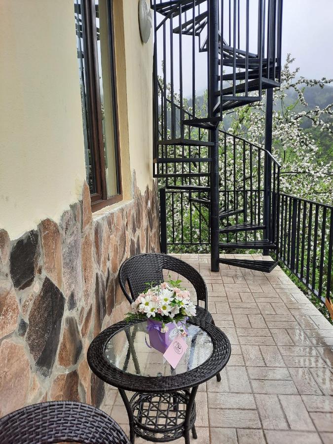 Guest House Bochora Bordschomi Exterior foto